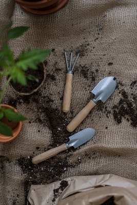 Sustainable Gardening: Practices for a Better Environment