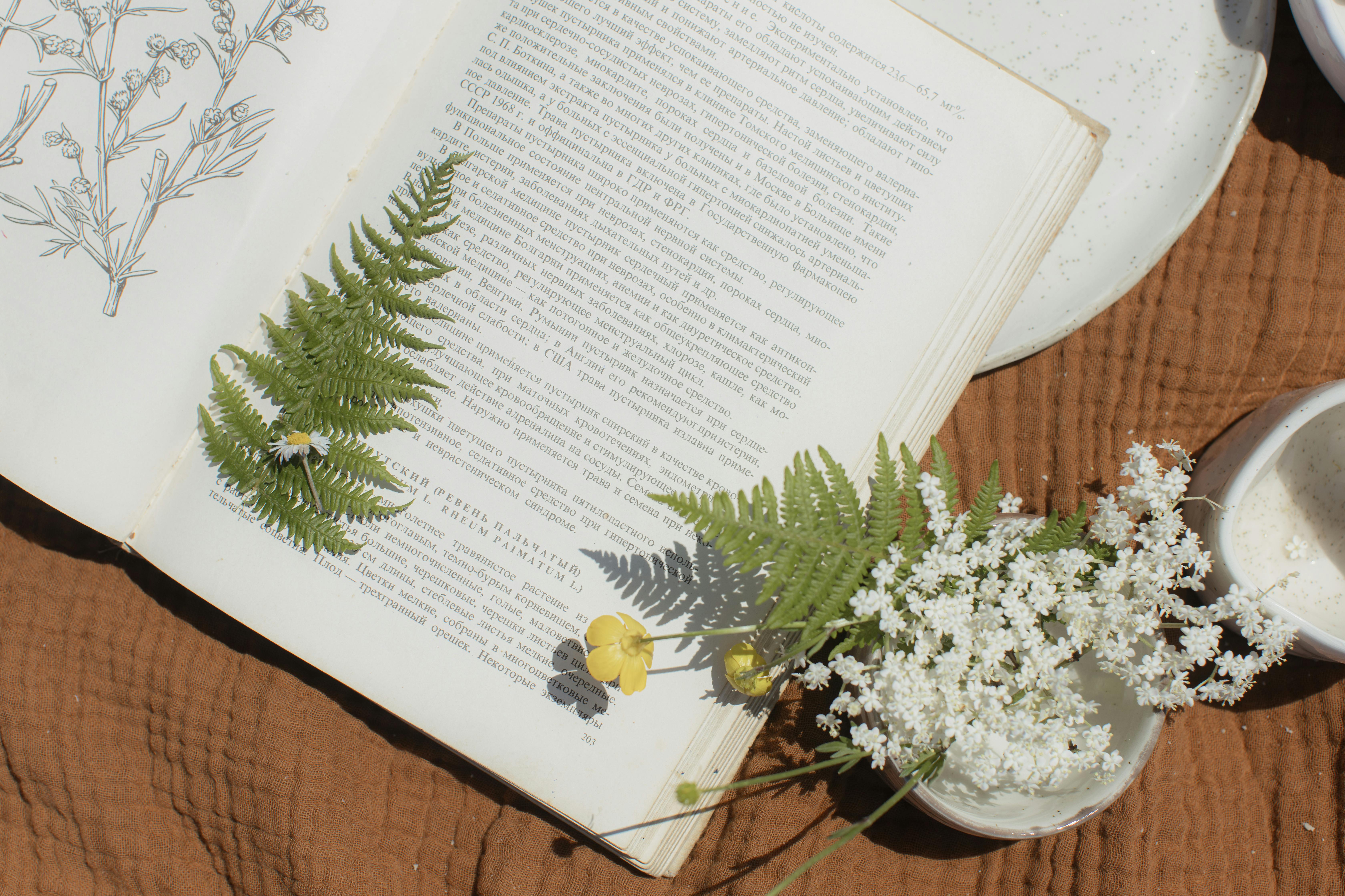 Aesthetic flat lay featuring an open book with pressed flowers and ferns, adding a natural touch.