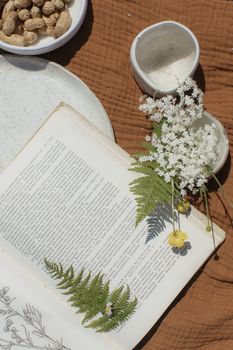 美观的平面布局中，一本打开的书、蕨类植物和白花镶嵌在纹理表面上