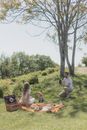 一对夫妇和他们的狗在阳光明媚的草地上享受宁静的夏日野餐