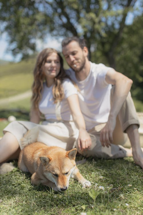 Immagine gratuita di animale domestico, camicia bianca, cane