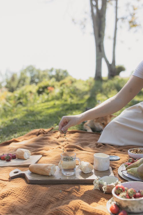 Free Food on a Picnic Blanket Stock Photo