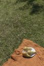 草地上铺着新鲜的梨，舒适的夏季野餐设施