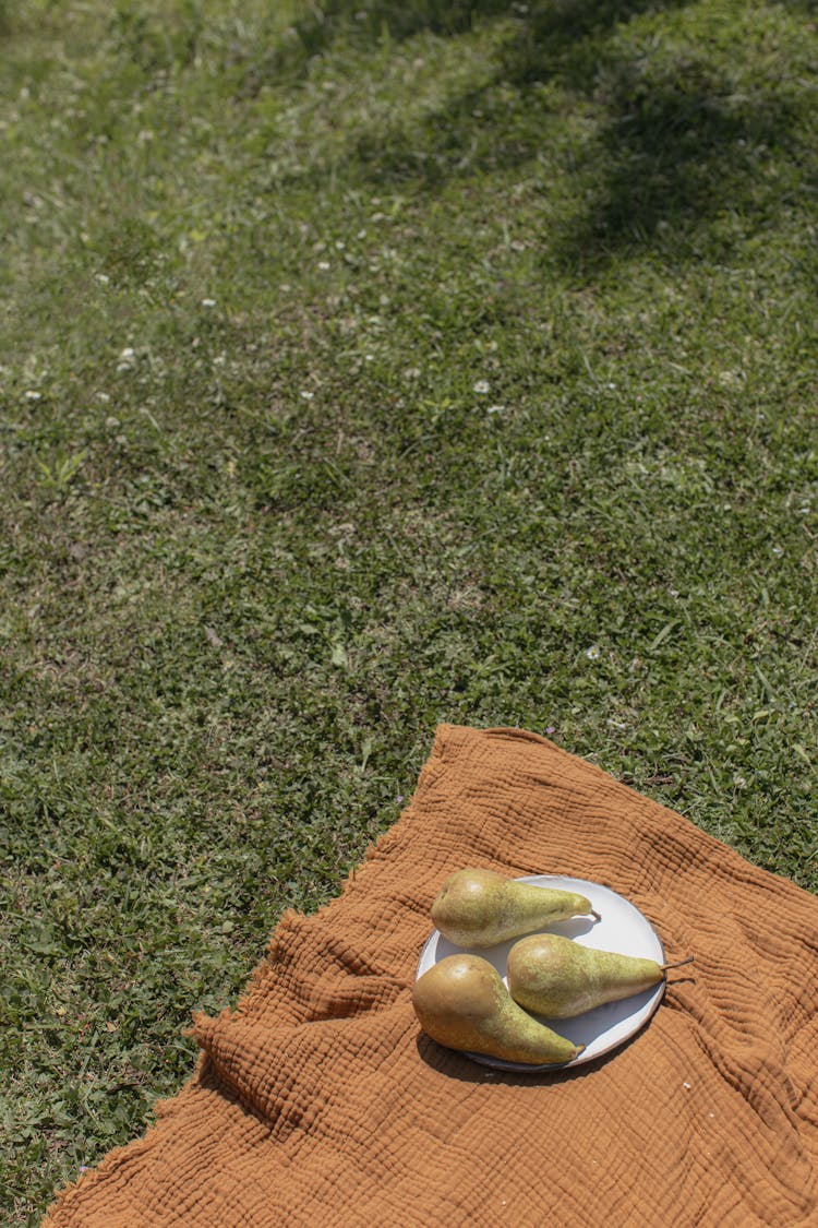 Three Pears On White Plate On A Rug On Green Grass