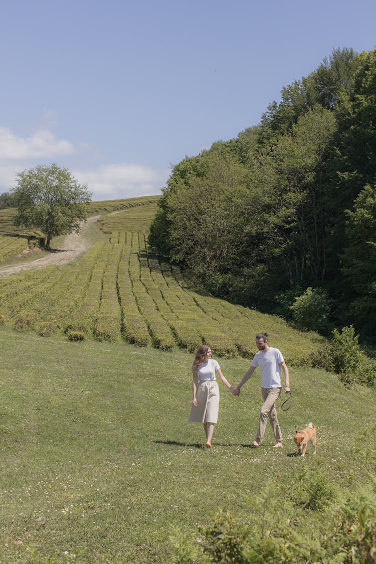 Couple Holding Hands While Walking On Green Grass Field With Shiba Inu Dog