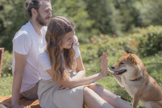 阳光明媚的日子里，一对夫妇和他们的柴犬在公园里玩耍