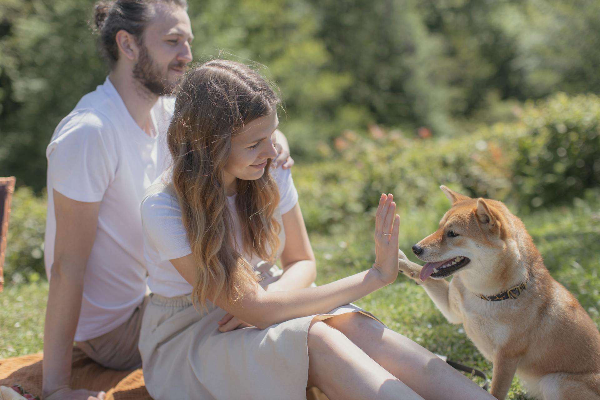 Dog doing Tricks on its Owner