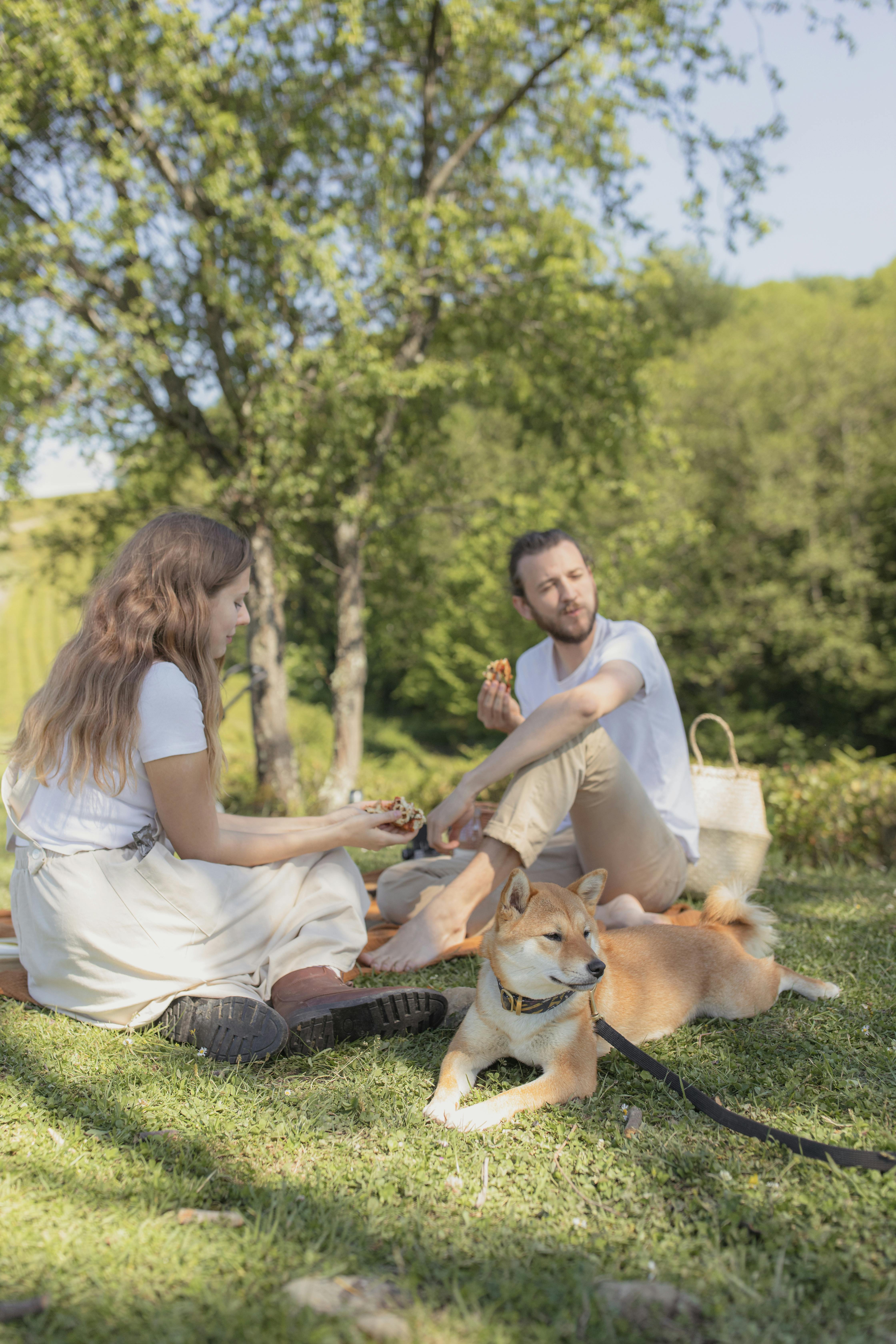一对年轻夫妇和他们的柴犬在阳光明媚的公园里悠闲地野餐