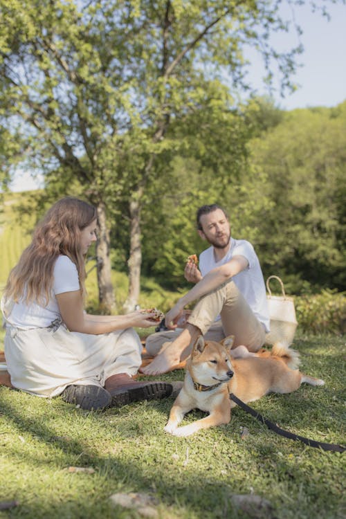 Free Couple Having Picnic with their Dog  Stock Photo