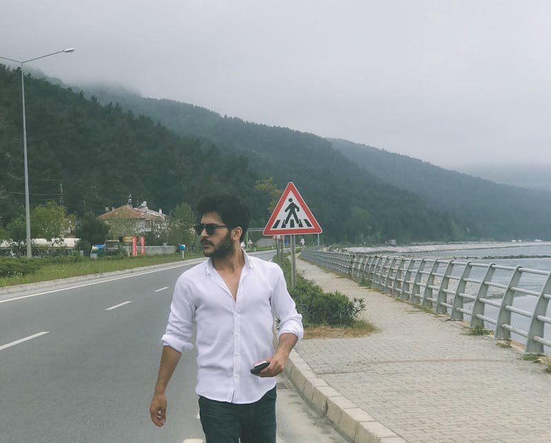 Tree Health Inspection