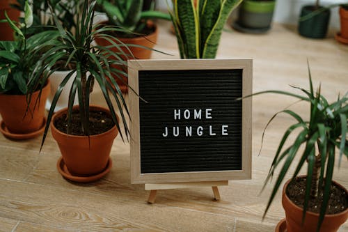 Garden planning feature