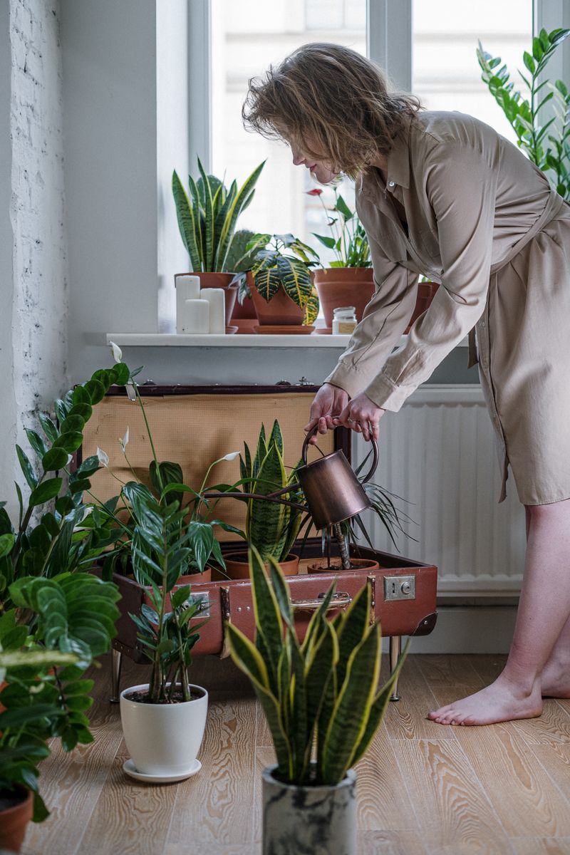 Mujer regando plantas del huerto con regadera