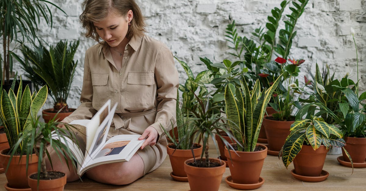 Woman in Brown Long Sleeve Shirt Reading Book While Sitting Near Plants