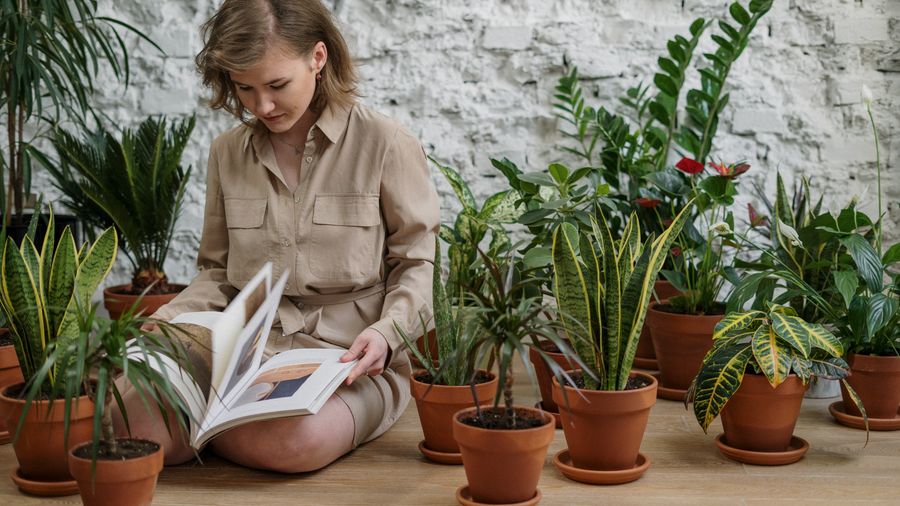 How to Actually Use Garden Catalogs Without Getting Buried in Them