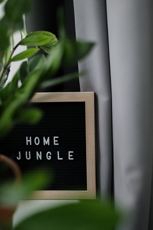 Text · Free Stock Photo