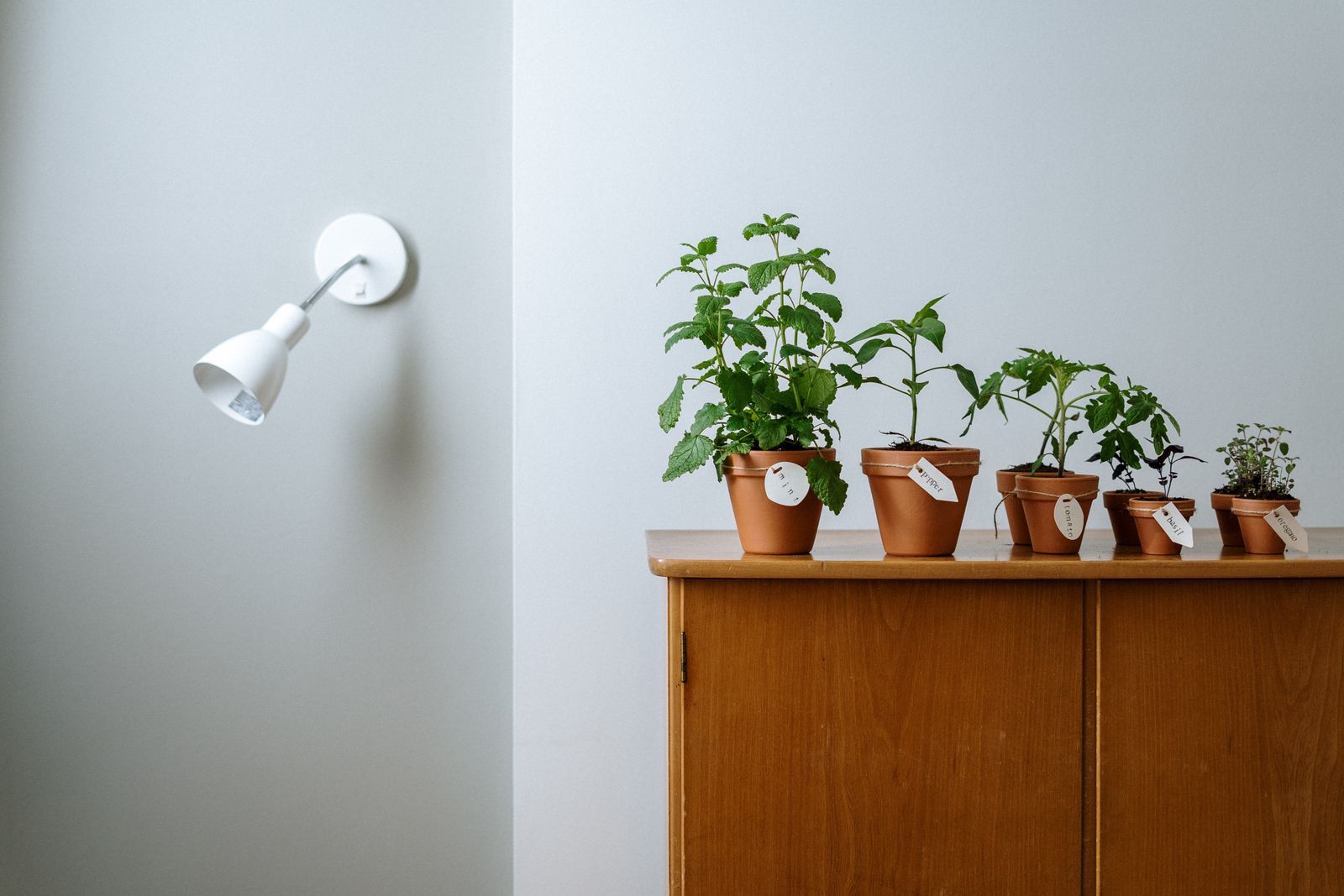 Calm minimalist wellness space representing the clarity and cleansing focus of jal neti practice