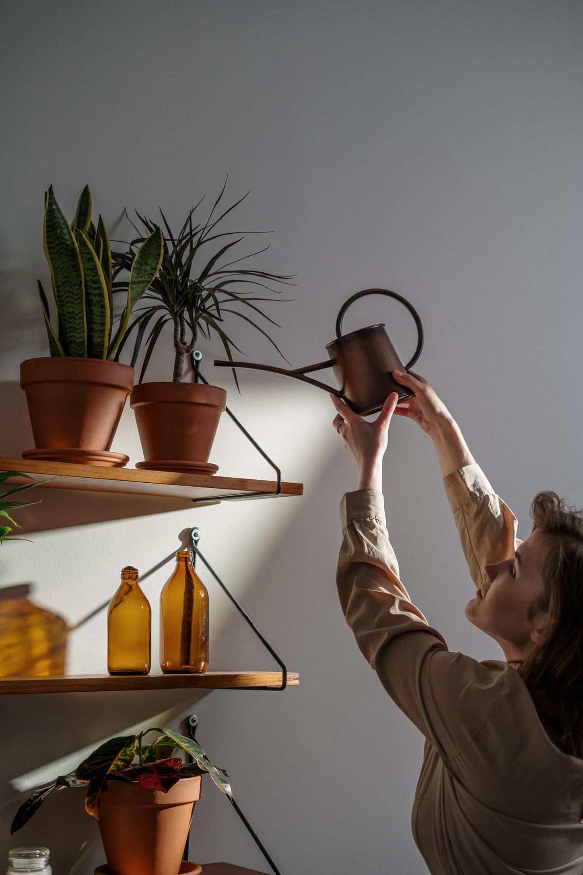 Fenêtre végétale et corridor avec plantes