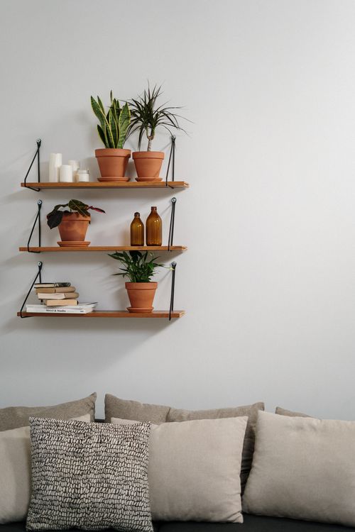 Minimalist interior with wooden shelves and plants — photo by cottonbro studio on Pexels