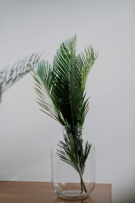 Minimalist display of palm leaves in a glass vase, perfect for modern interior decor.