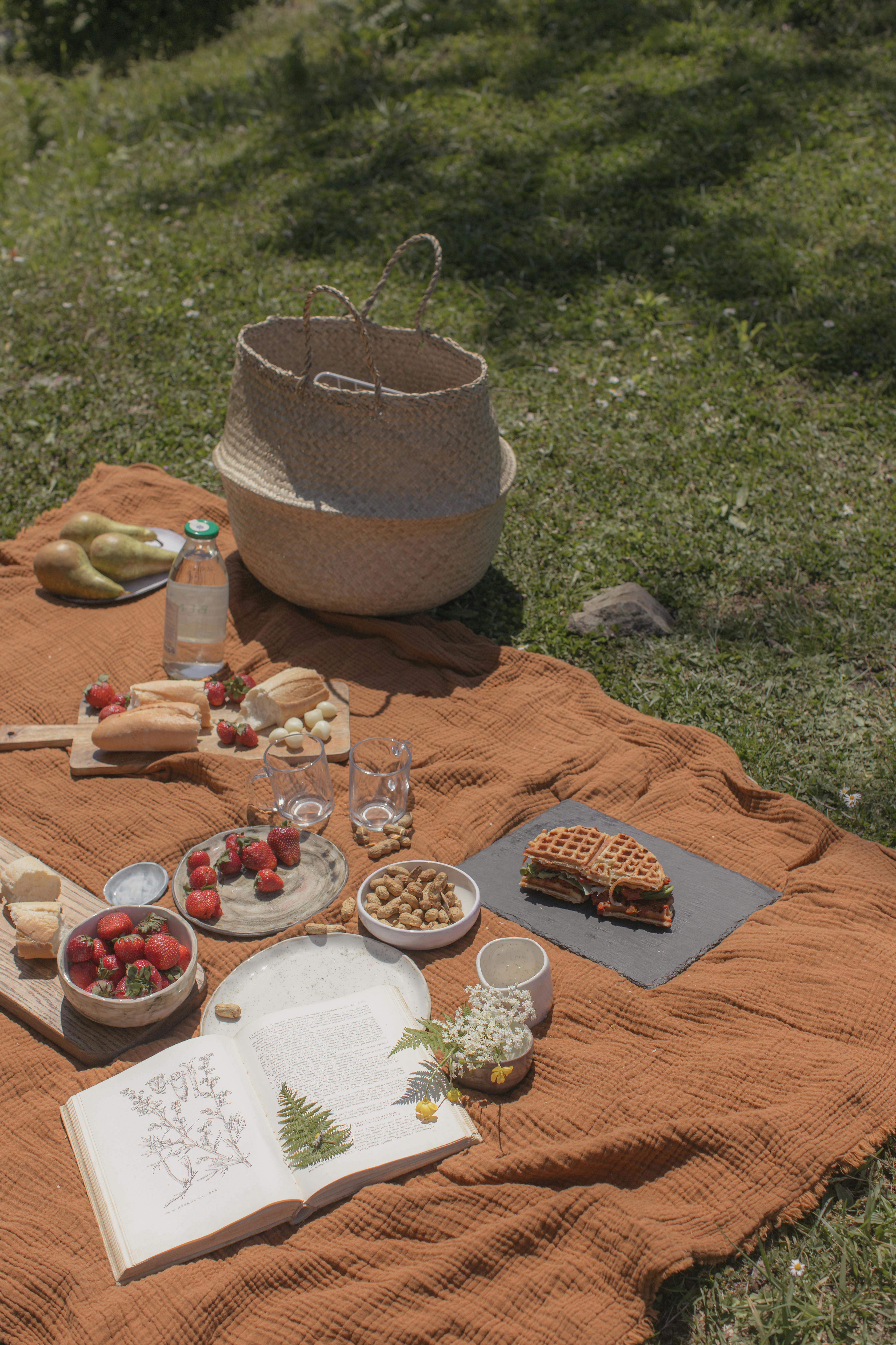 Happy Picnic Time Wallpapers HD Wallpapers 24270 Desktop Background