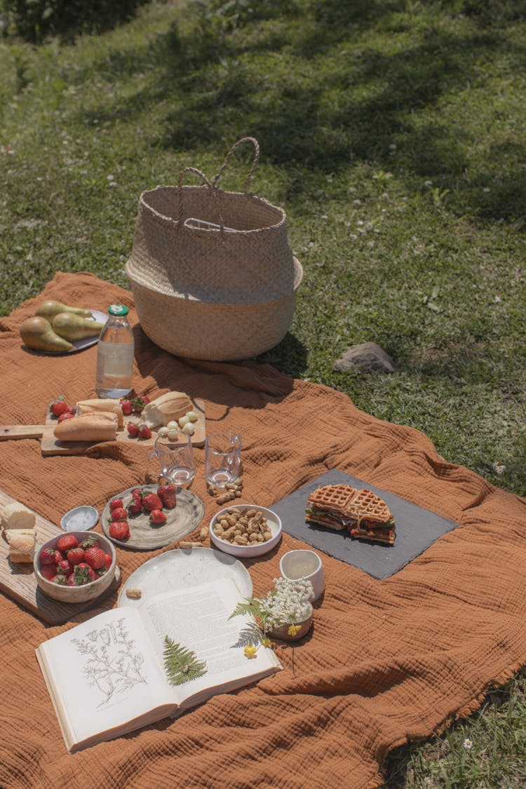 Brown Picnic Blanket On Green Grass 