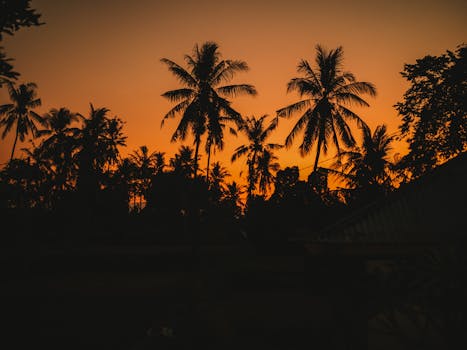 Silhouetted palm trees under an orange Bali sunset sky.