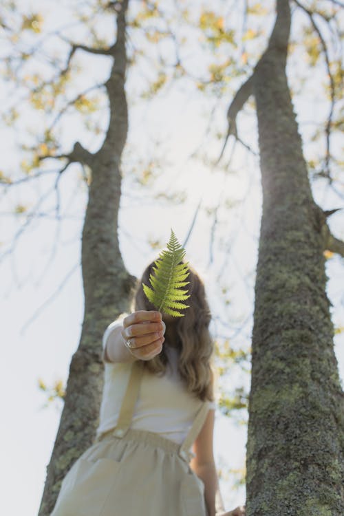 Low Angle Shot of Woman Holding Fern Leaf