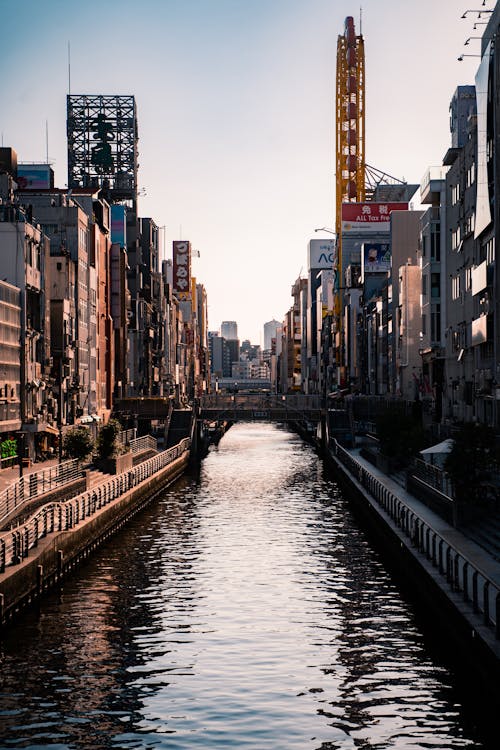 Ilmainen kuvapankkikuva tunnisteilla Aasia, dotonbori, japani