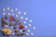 Overhead view of assorted decorative dry sea shells and corals with ribbed surface on bright background