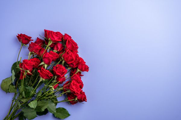 Rose arrangement