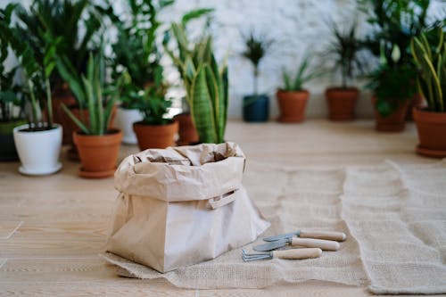 Free Brown Paper Bag on Brown Wooden Table Stock Photo