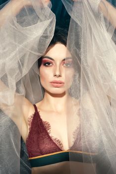Captivating portrait of a woman with lace lingerie and sheer veil in an artistic pose.