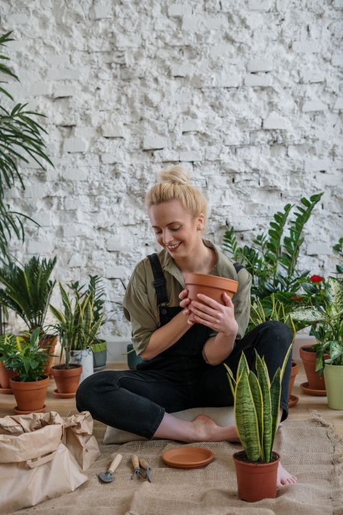 Free Happy woman gardening indoors with various potted plants. Perfect for home lifestyle inspiration. Stock Photo