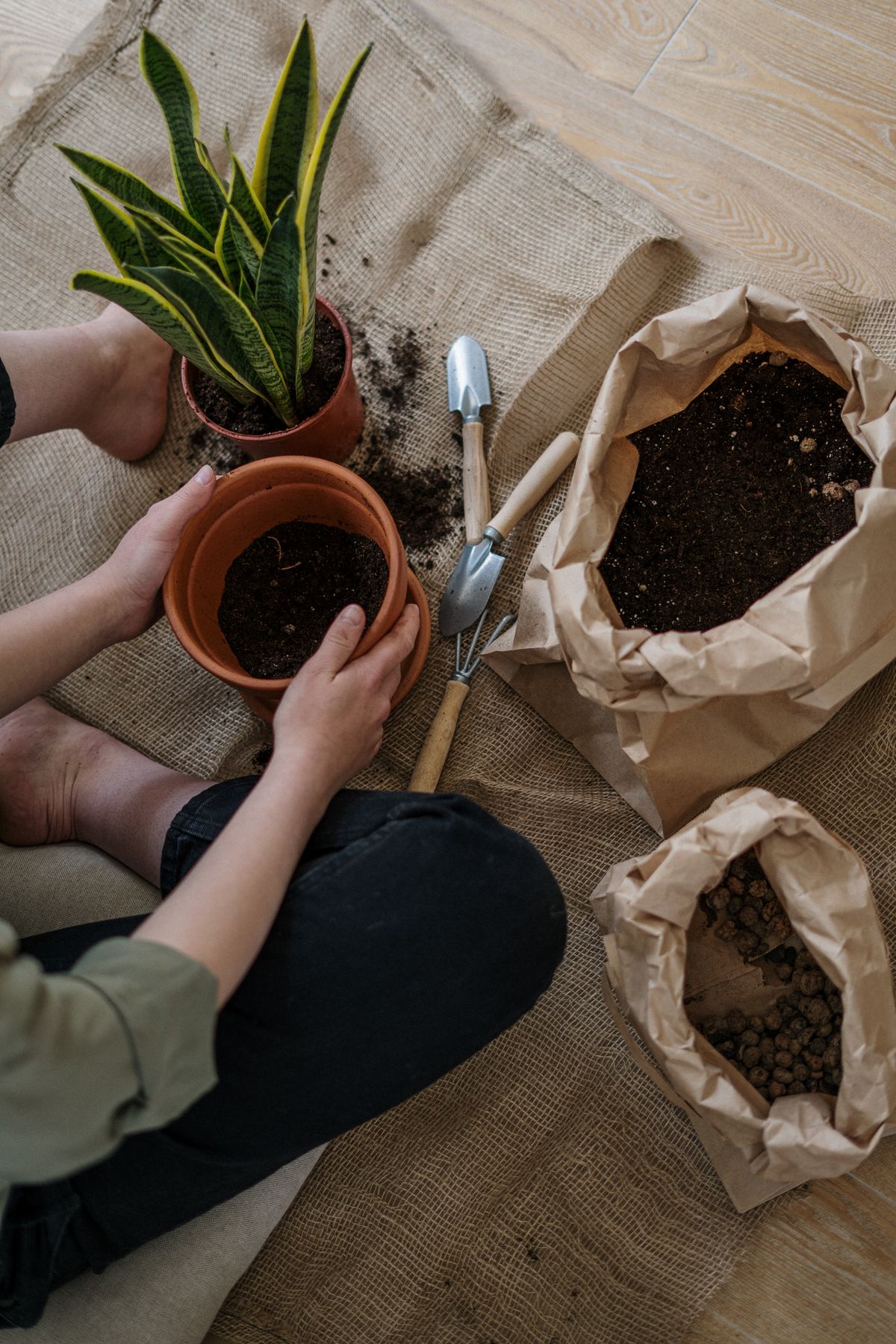 Organic compost and manure