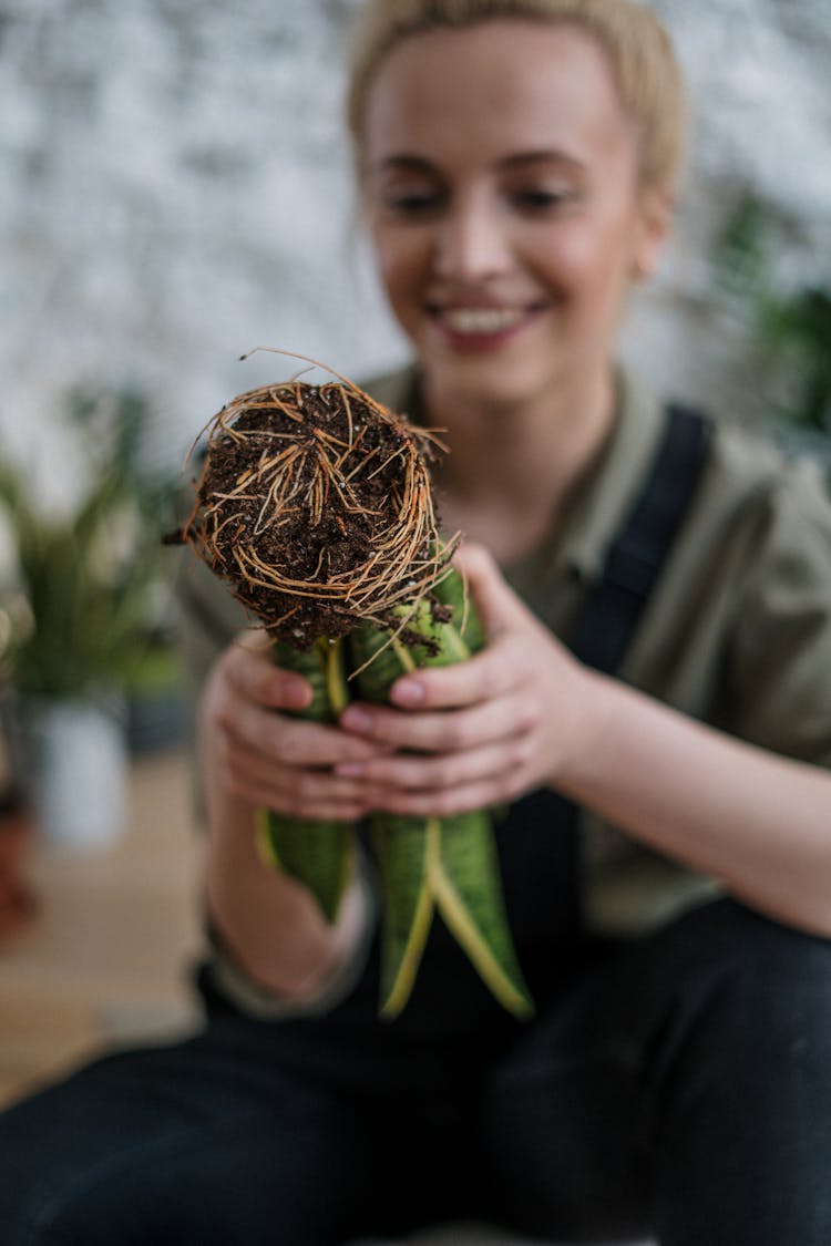 Smiling Woman Holding Brown And Green Plant