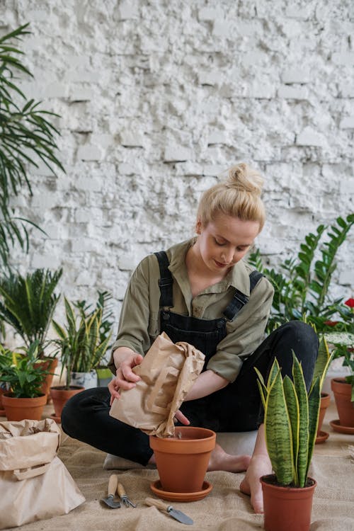 Gratis stockfoto met bloempot, bloempotten, blondine