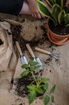 Green Plant on Brown Clay Pot with the Quote "Tennis is a perfect combination of violent action taking place in an atmosphere of total tranquillity." written on it and have average color value #5E5342