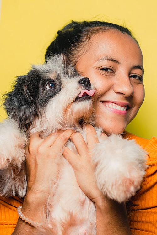 Free Cheerful young ethnic female cuddling cute purebred fluffy dog with tongue out while looking at camera Stock Photo