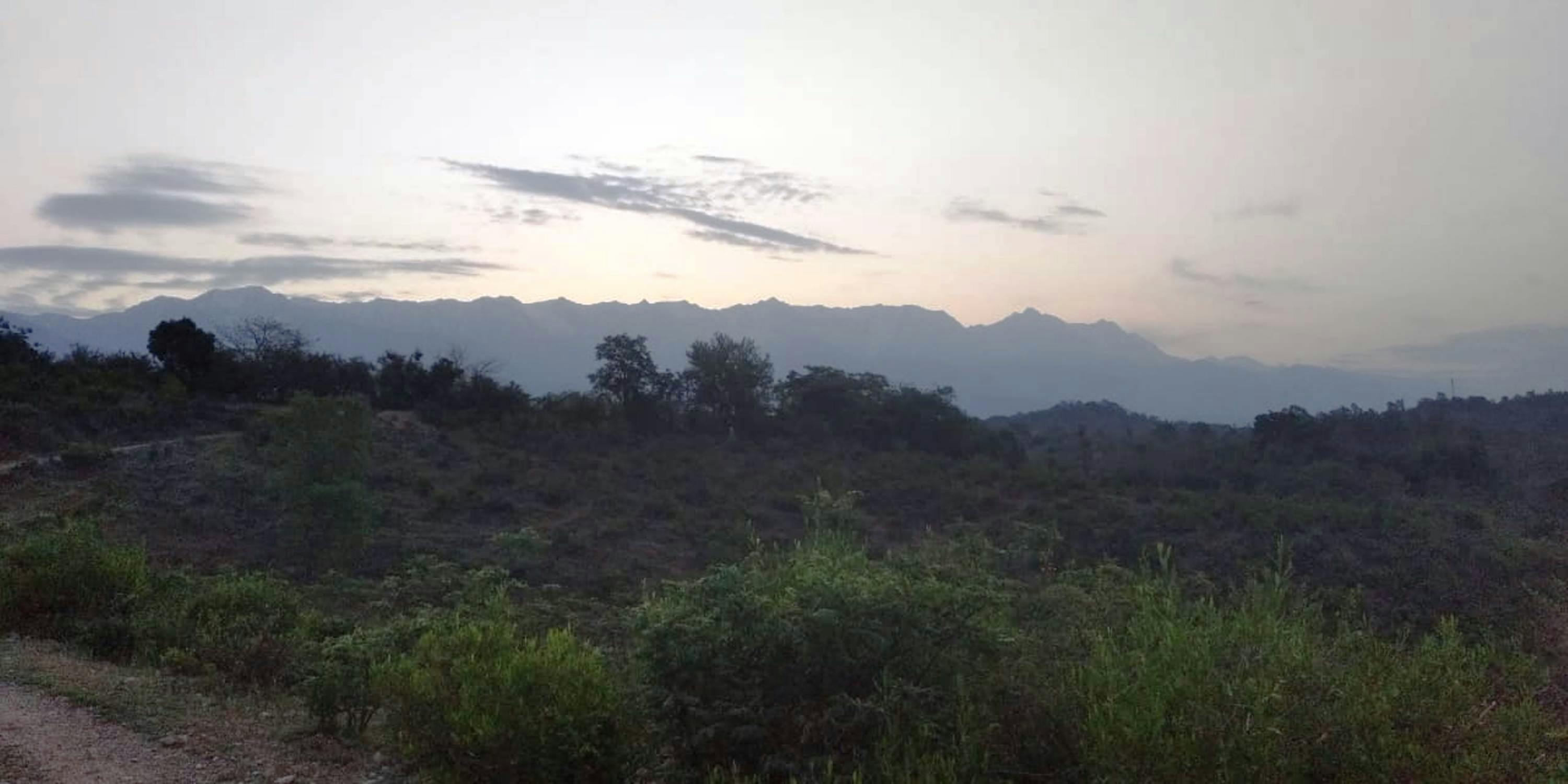 Família feliz em viagem