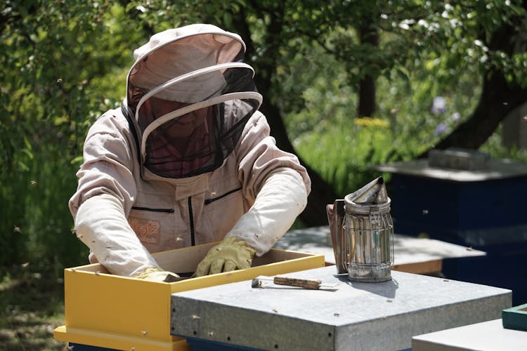 A Person In A Beekeeper Suit Near A Bee Smoker