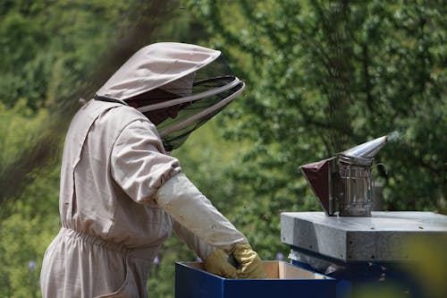 Бесплатное стоковое фото с деревянный ящик, костюм пчеловода, курильщик пчел