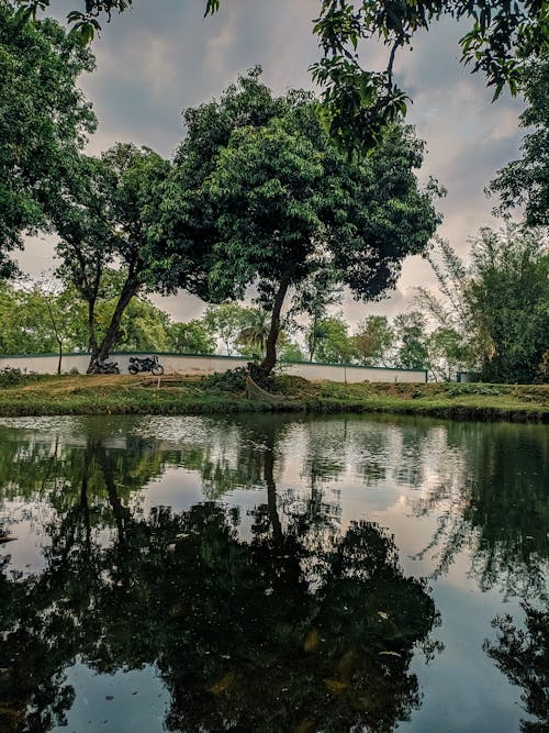 Gratis stockfoto met donkergroen, h2o, landschap