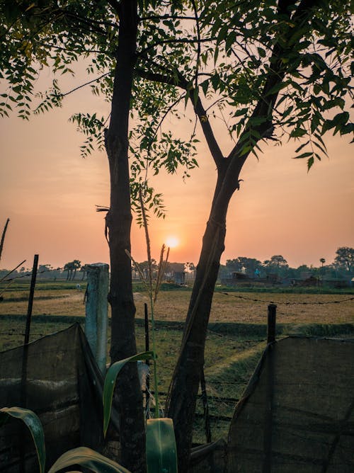 Gratis stockfoto met avondlucht, Oranje lucht