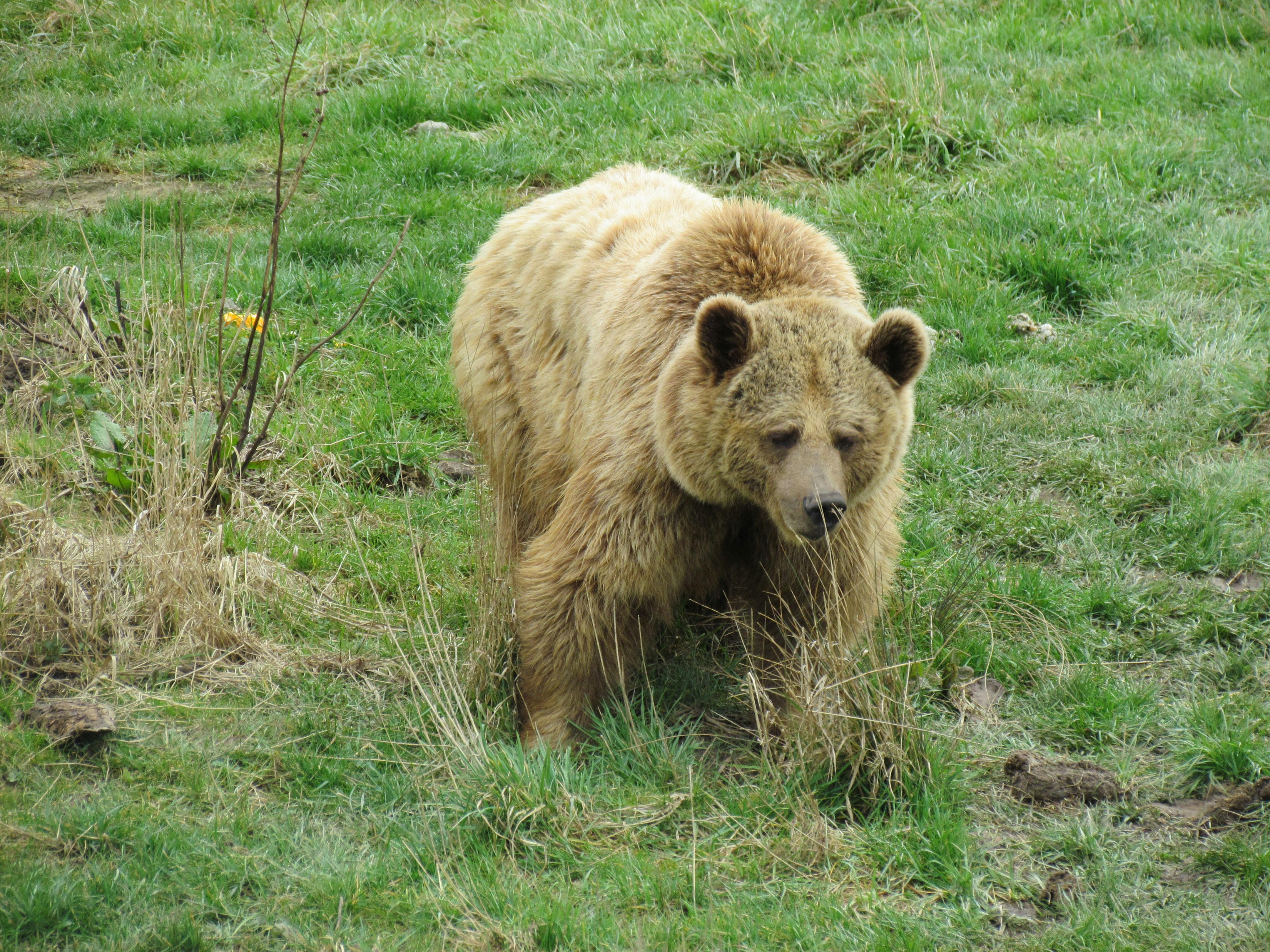 Common Shoulder Injuries and How to Treat Them