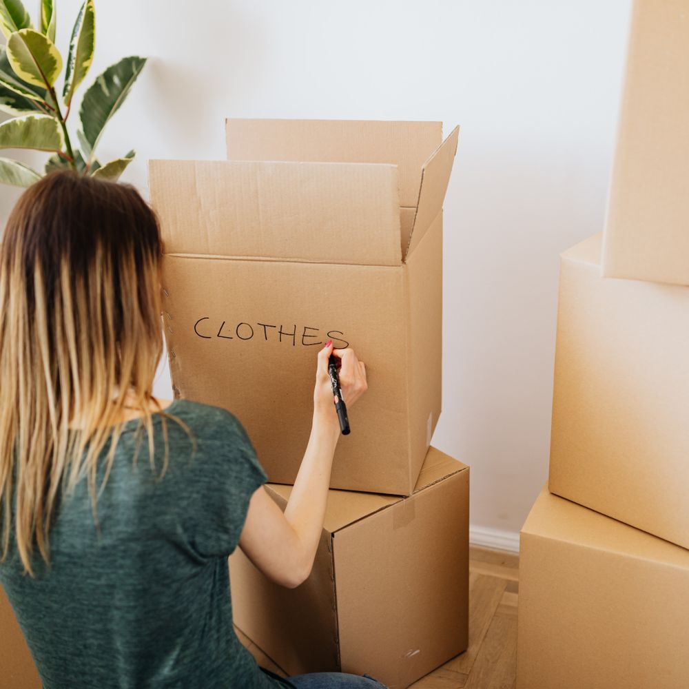Wardle — professional packers wrapping and boxing belongings