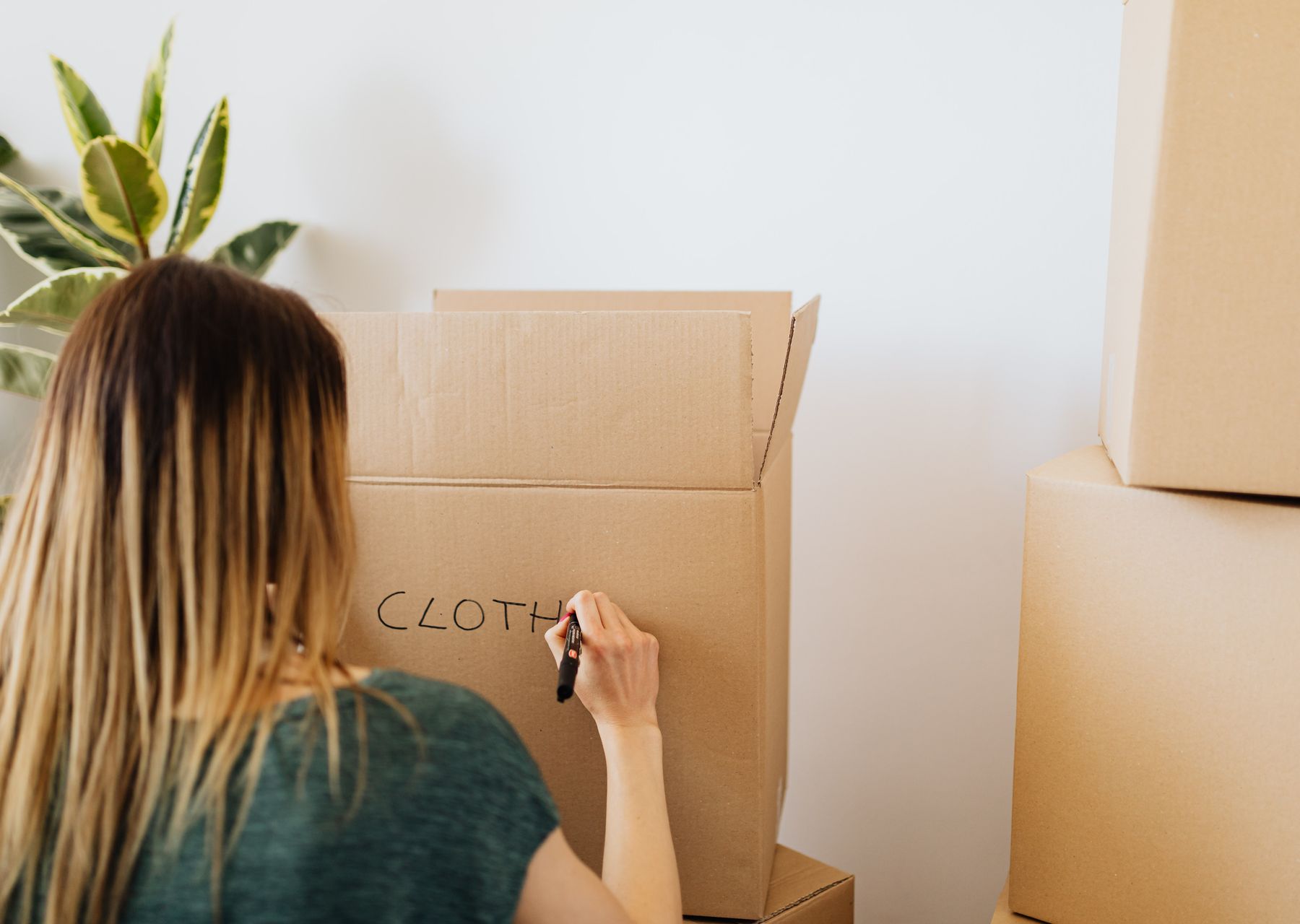 Same-day removals van loading — house removals in Fitzrovia