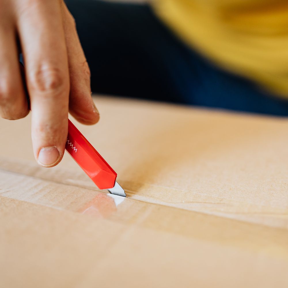 Wardle — professional packers wrapping and boxing belongings