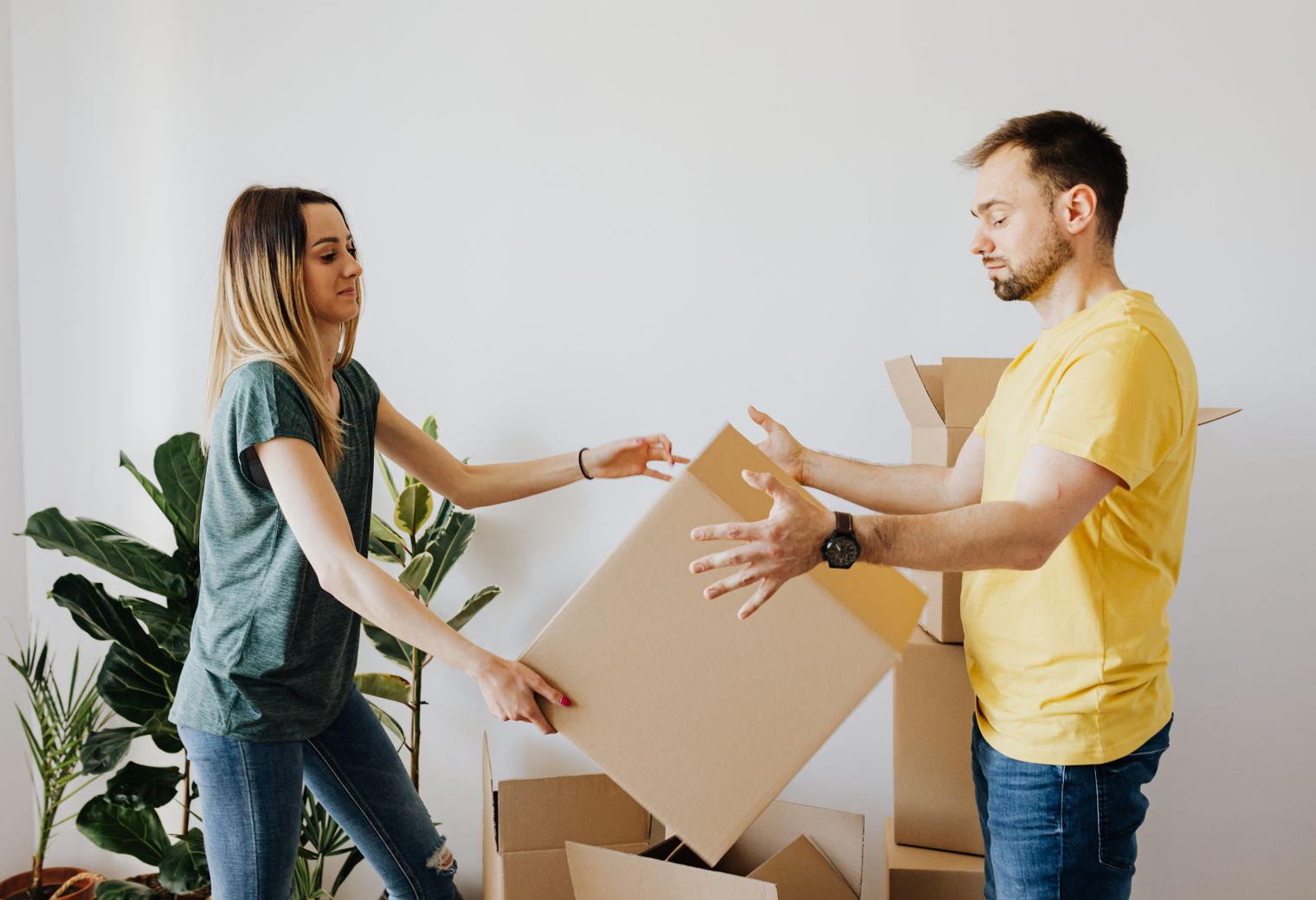 Sharnbrook — professional packers wrapping and boxing belongings