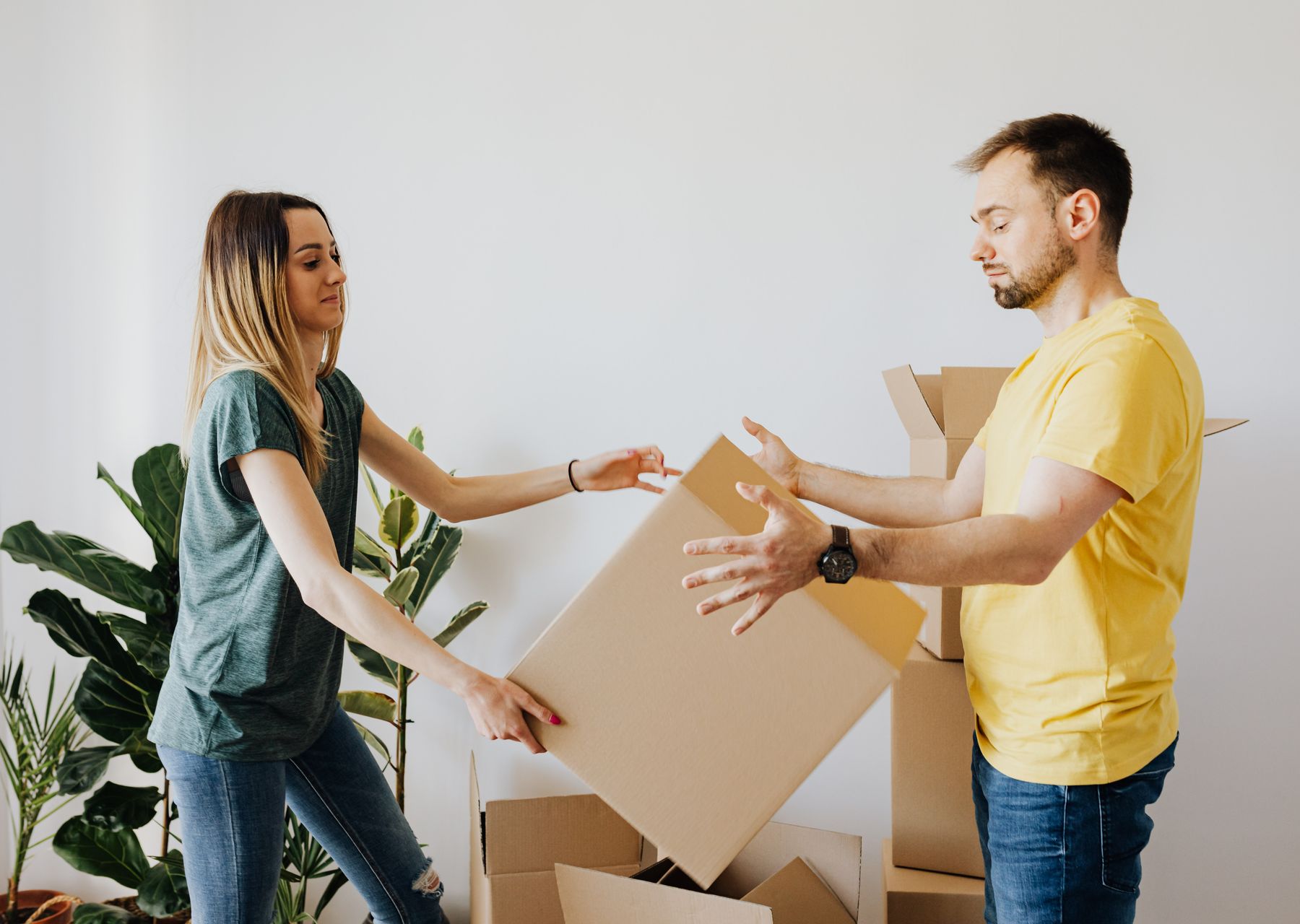 Same-day removals van loading — student removals in Edinburgh