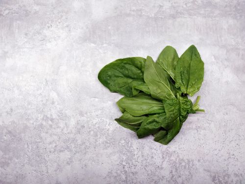 Free A high-angle shot of fresh spinach leaves on a gray textured surface. Stock Photo